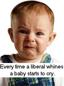 lib-dem whiners